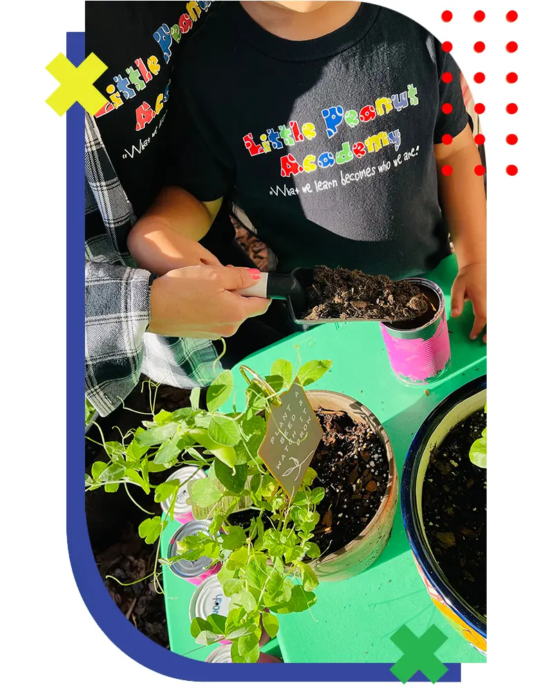 gardening gardening